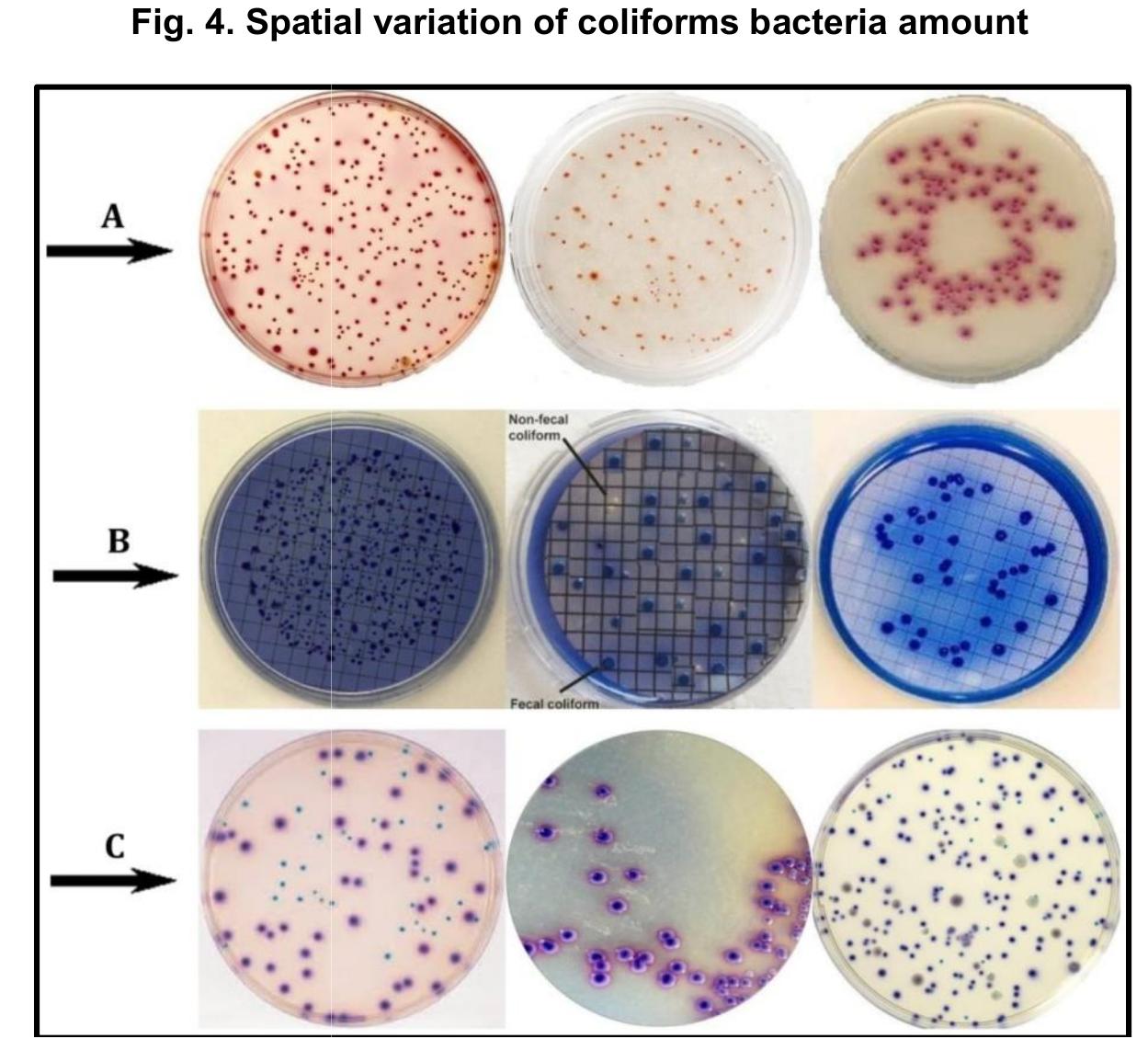 (PDF) Assessment of Coliforms Bacteria Contamination in Lake Tanganyika ...