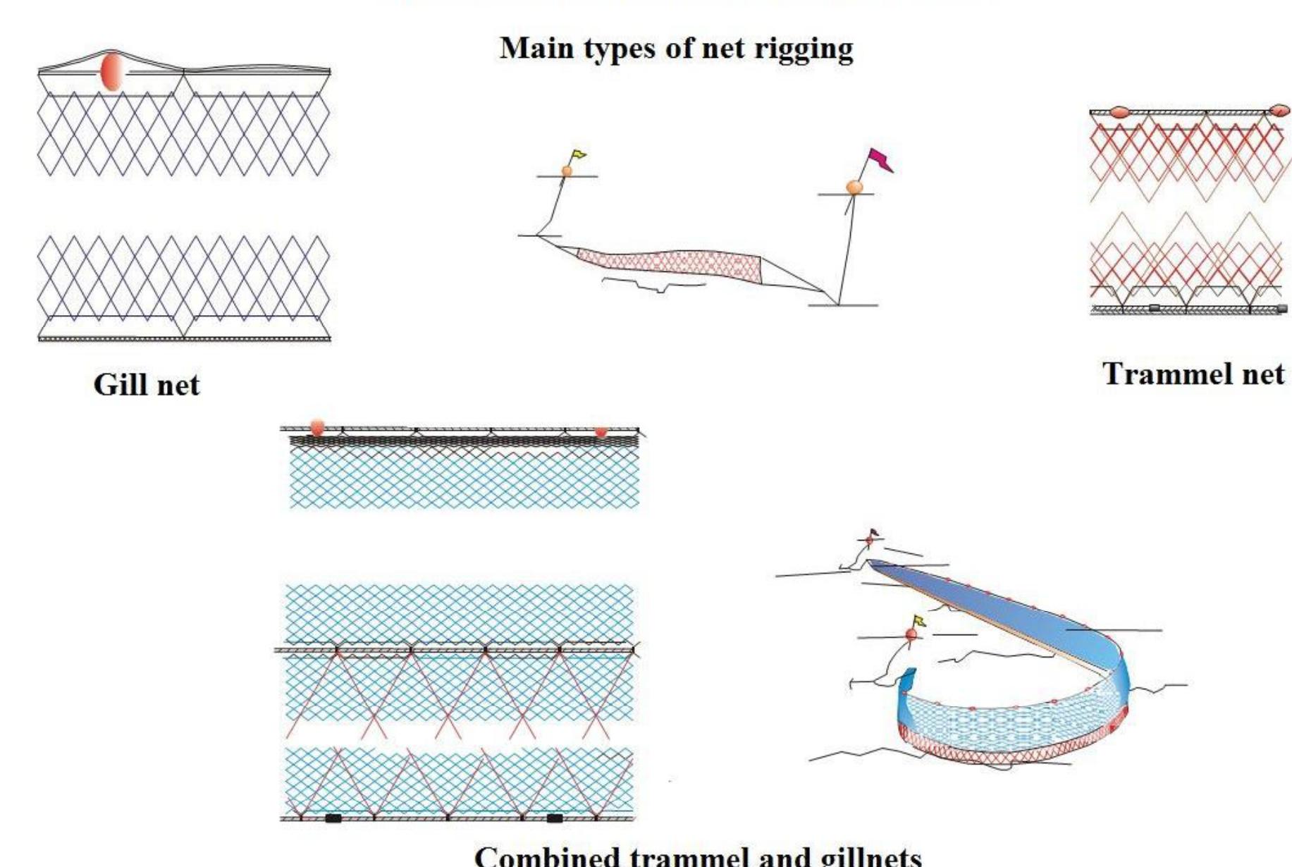 Surrounding Net Figure 11 - from Report of the FAO EastMed Assessment of the
