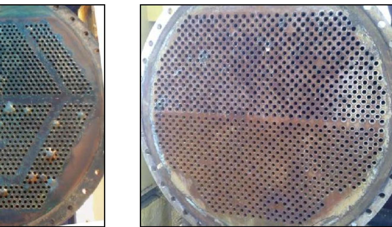 Figure 1 - Vibration analysis of shell-and-tube heat