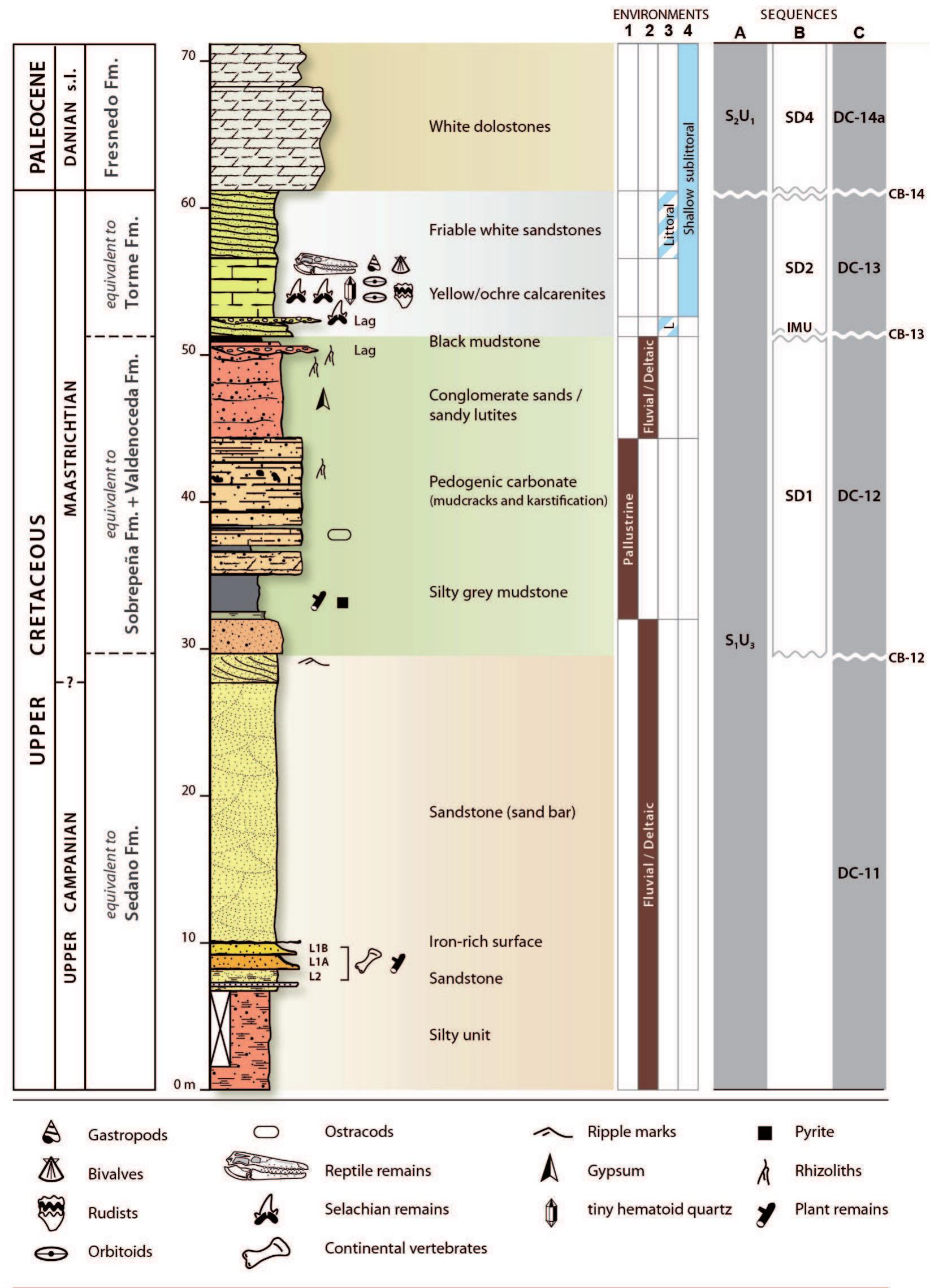 - schematic stratigraphic column of the lafio quarry showing
