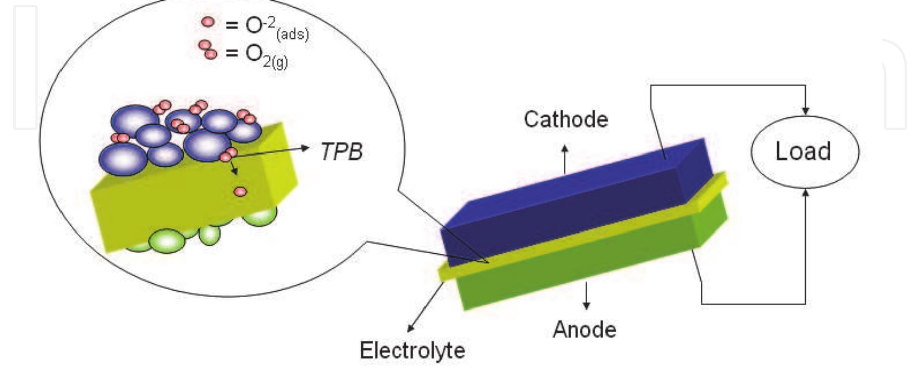 Figure 2 - Ceramic Materials for Solid Oxide Fuel Cells