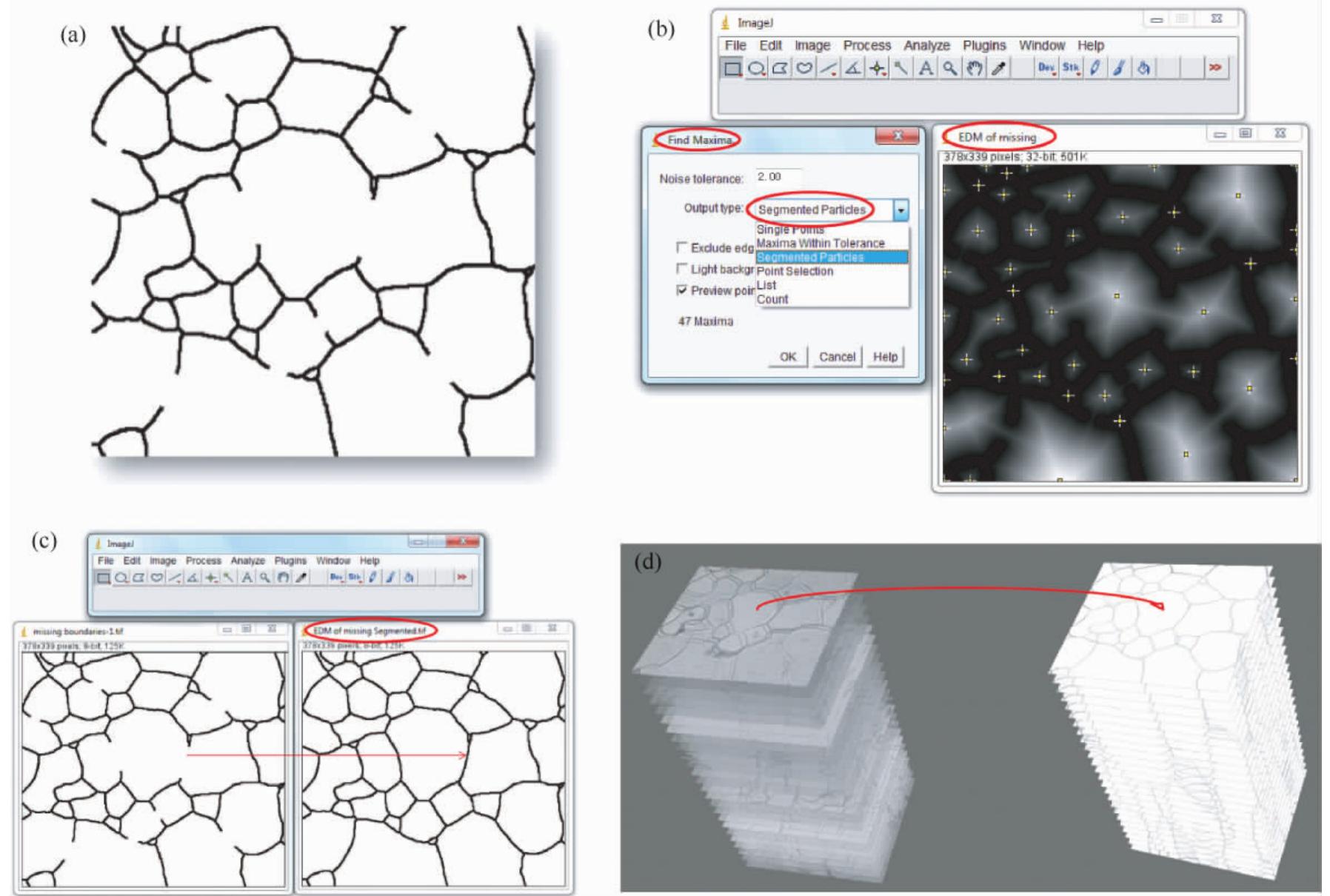 Microstructure Imagej Processing (PDF) A framework for image processing , analysis and visualization of ...