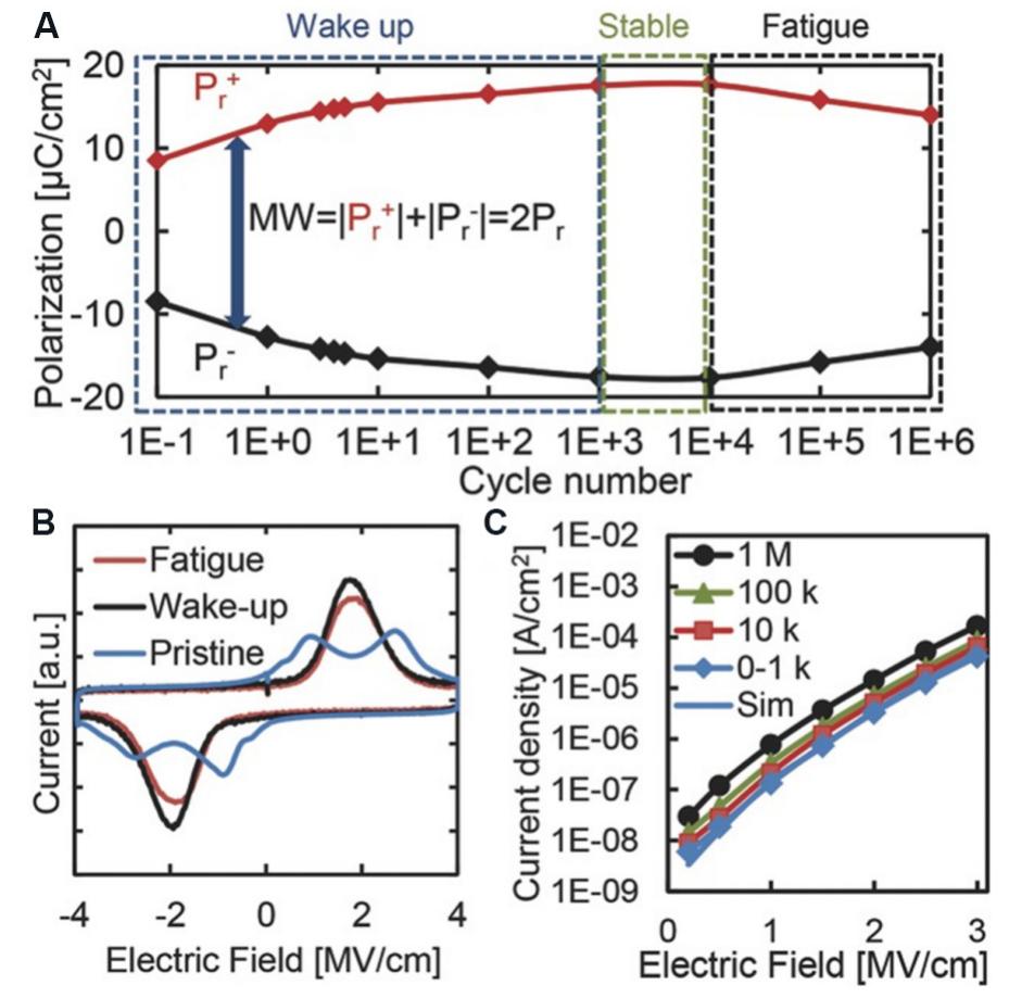 (PDF) Microstructural evolution and ferroelectricity in HfO2 films