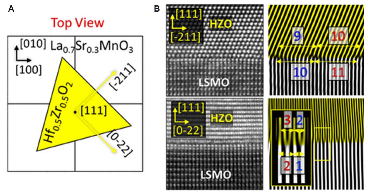 (PDF) Microstructural evolution and ferroelectricity in HfO2 films