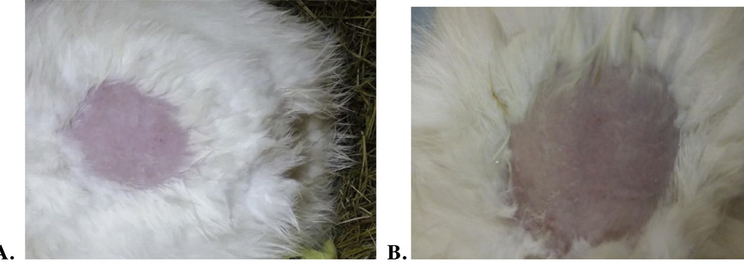 Figure 2 - from Phytochemical analysis and evaluation of