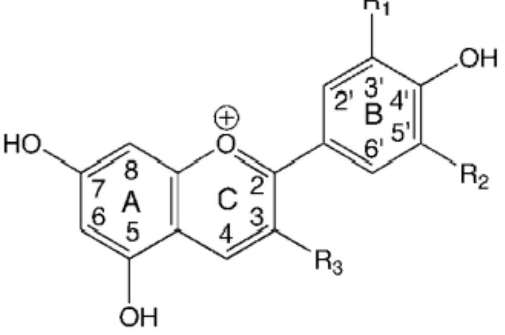2.1 basic structure of a main anthocyanidins. r1, r2 and r3