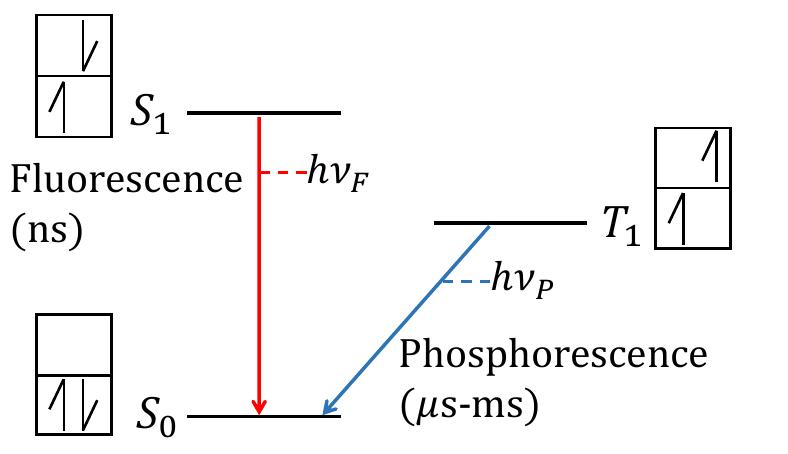 Fig. 13. Simplified Jablonski diagram showing the first electronic excited singlet and triplet states and the ground singlet state.  Fig. 12. Diphenylacetylene; Ey = 14.1 MeV. Plots described at beginning of Sec. IV. 