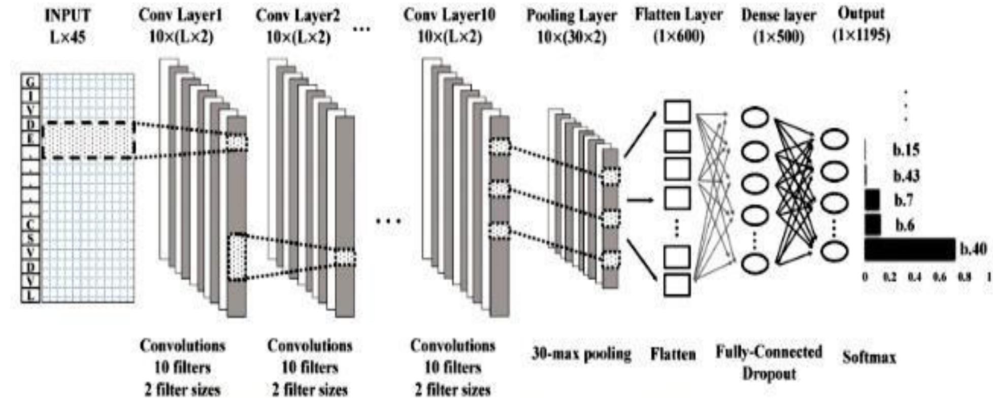 (PDF) Protein Structural Classes Prediction Based On Convolutional ...