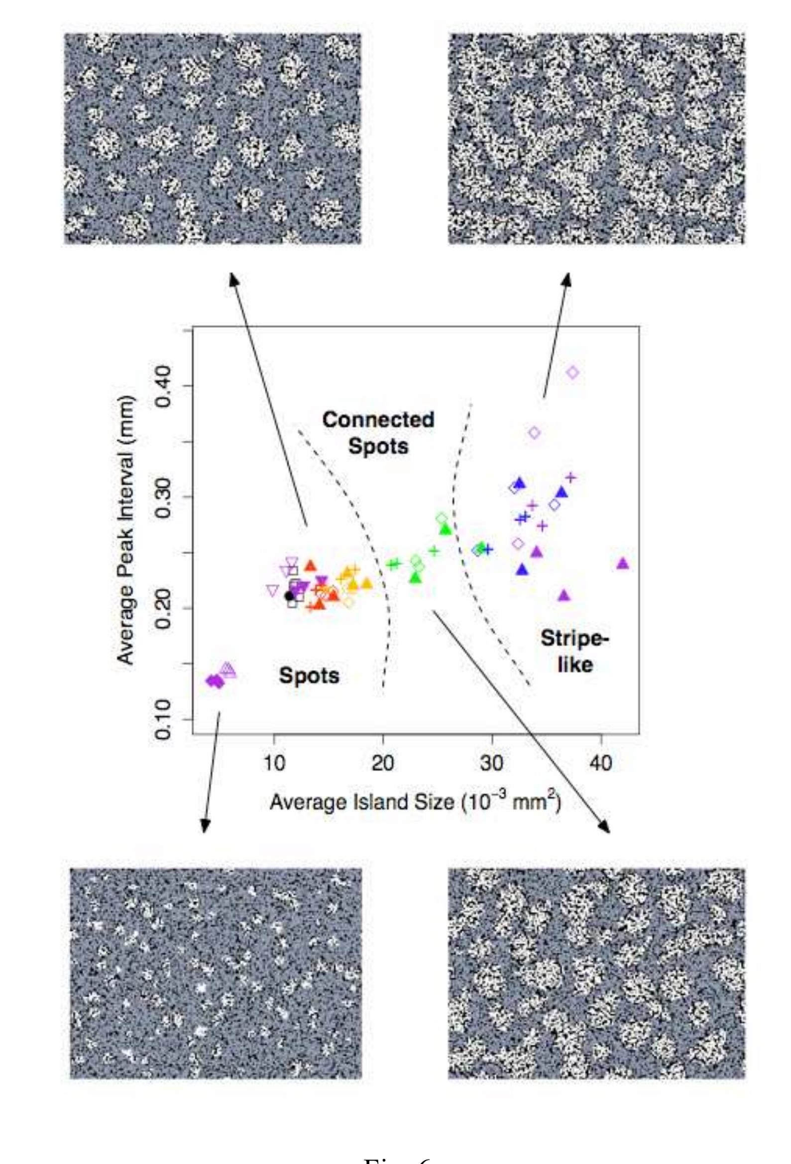 figure_004.jpg