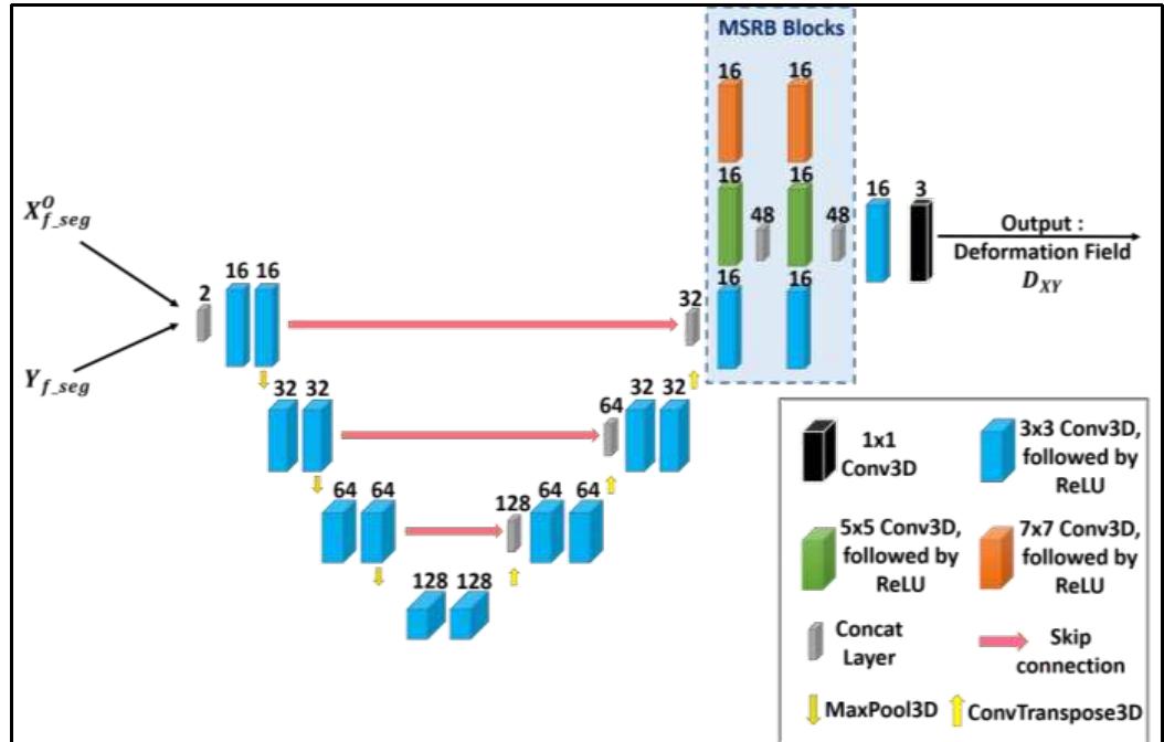 (PDF) Unsupervised Deep Learning based Longitudinal Follicular Growth ...