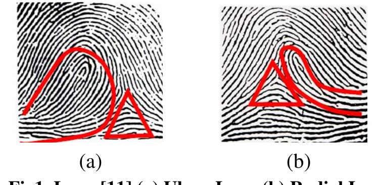Ridge Flow Pattern (PDF) Finger Print Analysis Using Termination and Bifurcation Minutiae