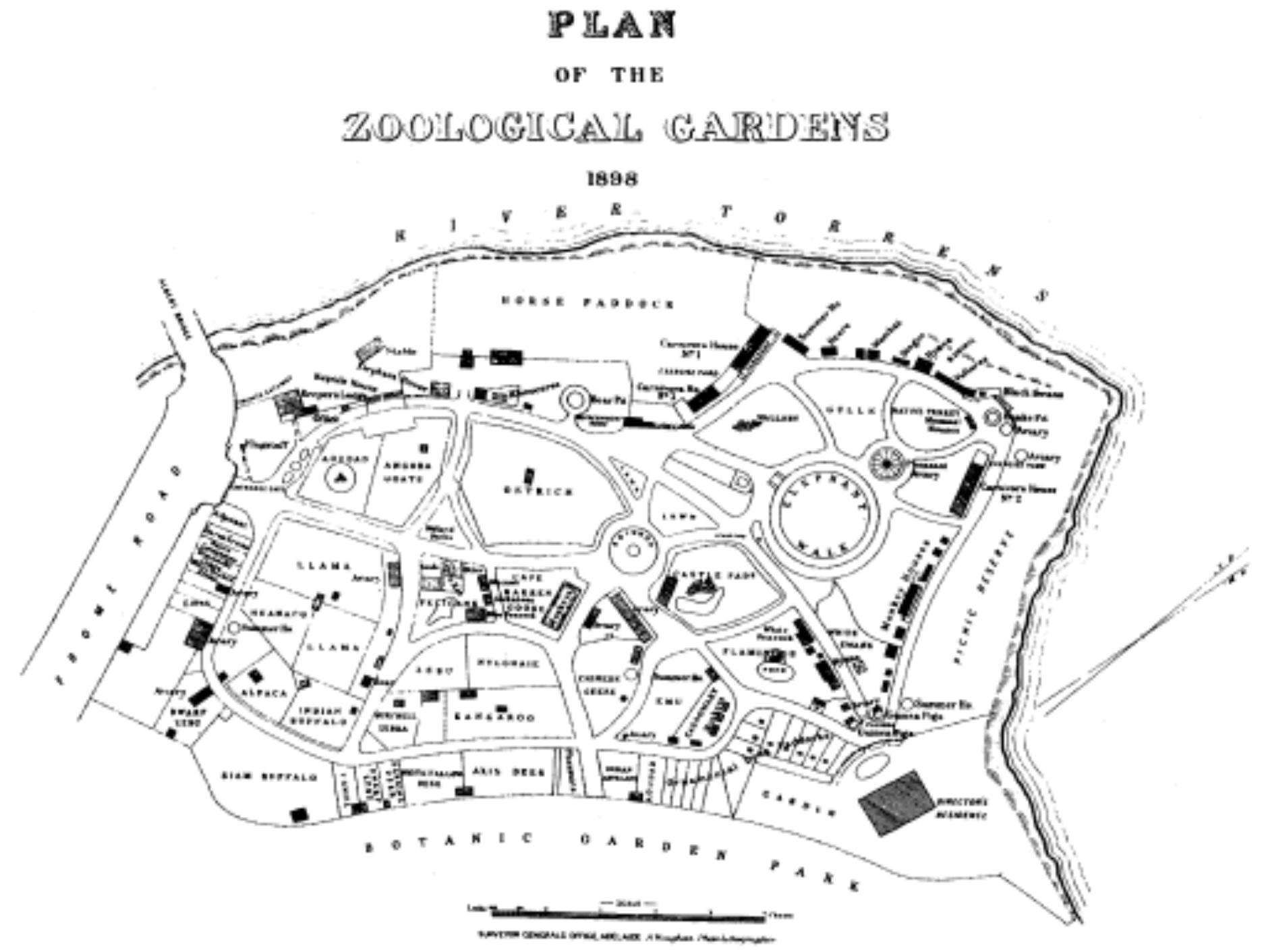 洋書 Kay Anderson Inventing Places Kay Anderson Inventing Places