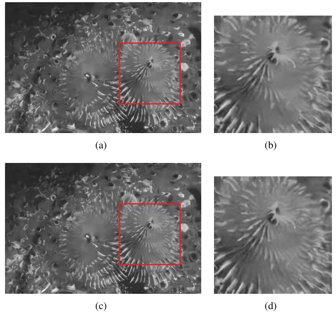 (PDF) Learning Non-local Image Diffusion for Image Denoising