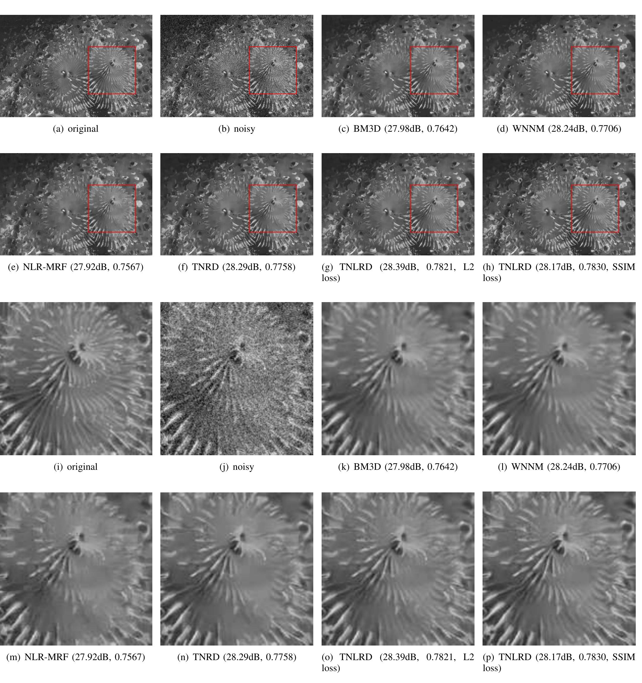 (PDF) Learning Non-local Image Diffusion for Image Denoising