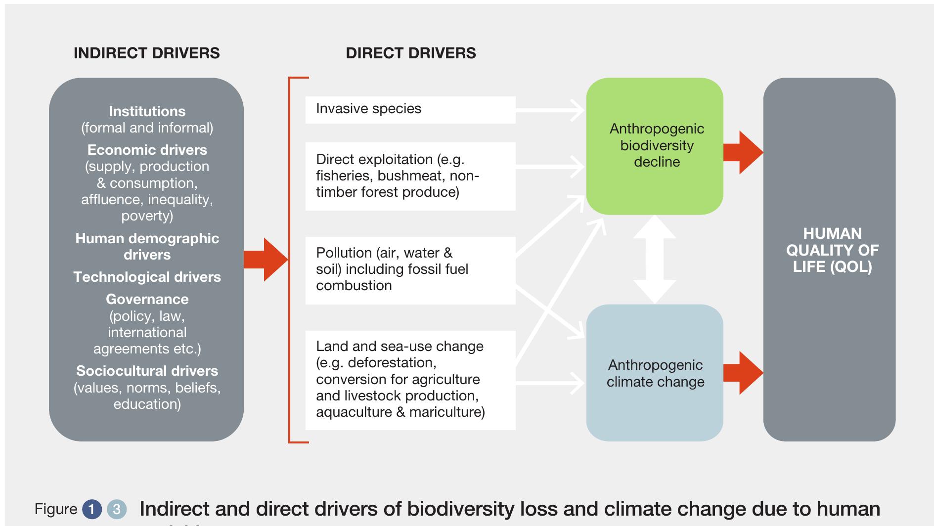 Climate change and biodiversity loss share common underlying