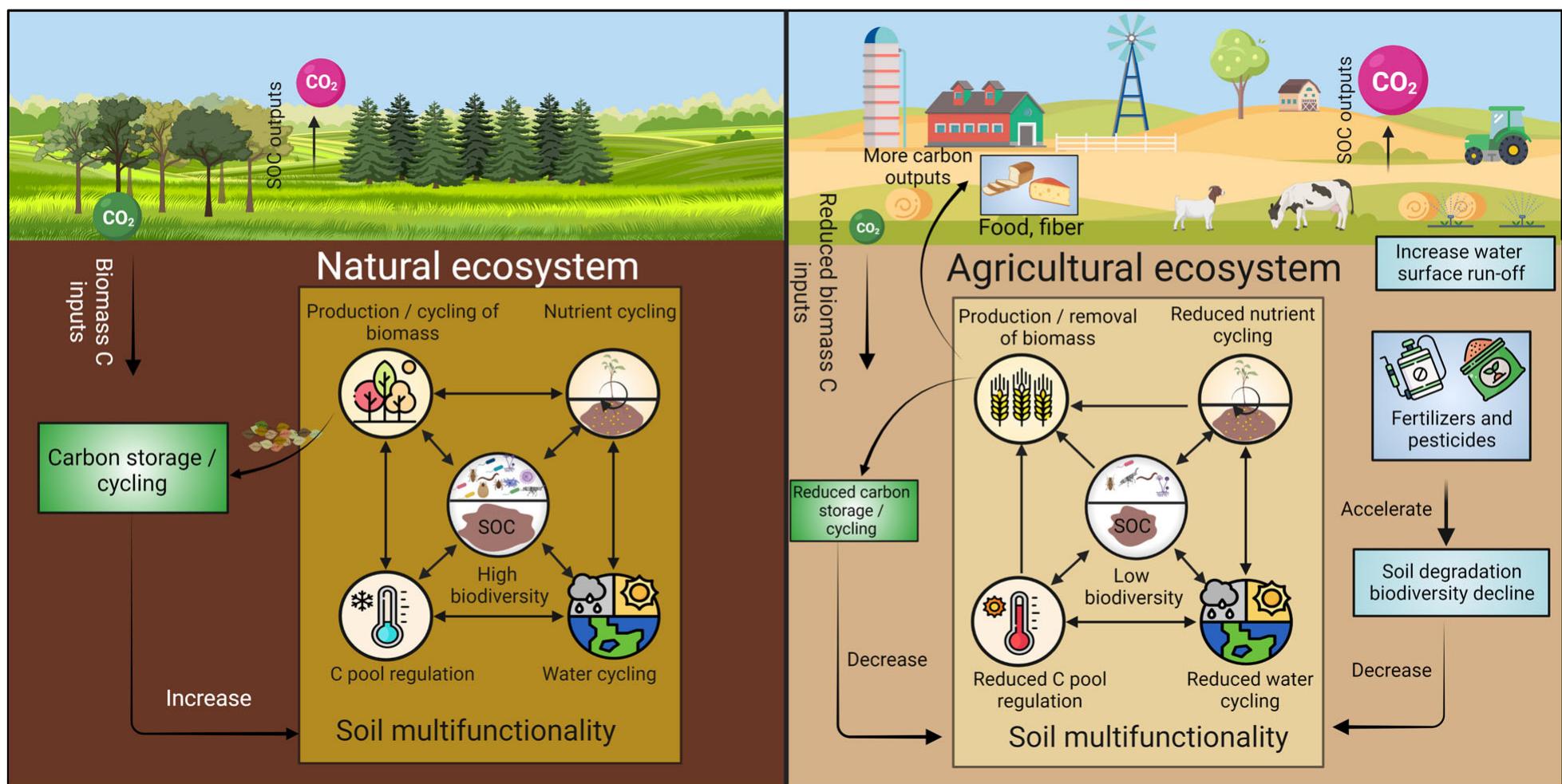 Method Soil Multi Functionality Figure 4 - from Critical Reviews in Environmental Science