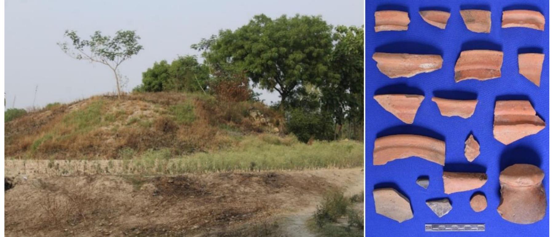 Figure 4: General View of the Site and Pottery  Bahutra Locality I (Lat. 25°45’77” N; Long. 82°81’46” E): Bahutra mound is located in Pindra tehsil of Varanasi (Figure 4). It is situated 6 km away from sub-district headquarters of Pindra. The site of Bahutra is located 20 m east of Babatpur Jamalpur road. On the eastern side of the mound, a Hanuman Ji temple is there. This is high mound and the southwestern mound is fully destroyed and converted into agricultural land. From this site Kushana, Gupta and Medieval ceramics have been found which include Dabber, Hopscotch, Vase and Shallow Bow] (Figure 4).  Bahutra Locality II (Lat. 25°45’46” N; Long. 82°81’46” E): This mound is situated in Pindra tehsil of Varanasi (Figure 5). It is situated 6 km away from sub-district headquarters Pindra. A mound of Bahutra is located 20 m east of the babatpur- Jamalpur road. But this locality is fully destroyed, and it is leveled by farmers. Many potsherds were collected from the site (Figure 5). 