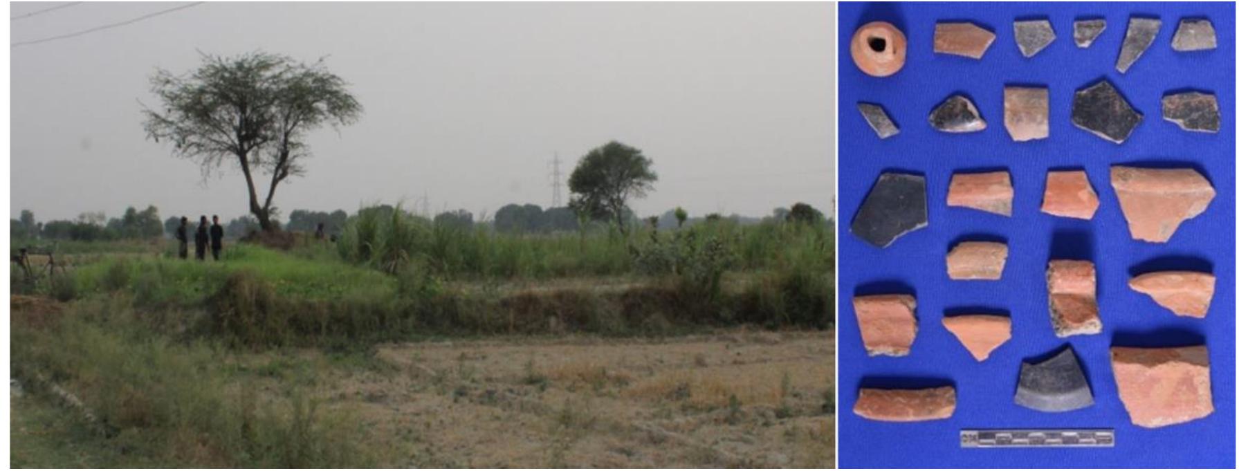 Figure 5: General view of destroyed site Bahutra II and Pottery 
