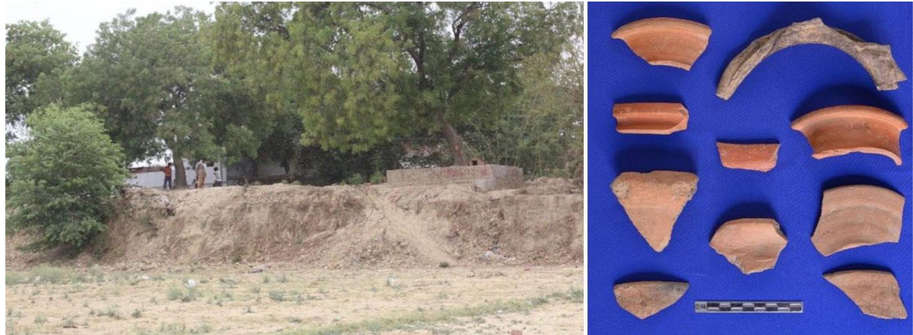 Figure 9: General view of fully destroyed site at Bhagwanpur and Pottery.  Bhagwanpur (Lat. 25°38’52” N; Long. 82°93’09” E): The site of Bhagwanpur is located at Kashi Vidyapeeth block in Varanasi district (Figure 9). It is about 7km south from district headquarters. Bhagwanpur is a multicultural site which is also known as “Kot - ki —Mai” and local people also worship this place as a secret land (Than/ Devtathan) (Figure 9). On the western portion of the mound, the modern settlement is Bhagwanpur village is located. The earlier mound was bigger and it is extension was near about 5,207 m? (2.2790 acres), now the height of mound is about 7 m. The eastern sector of the mound is highly disturbed by soil mining activity. Potsherds of Gupta period are found from this site. 