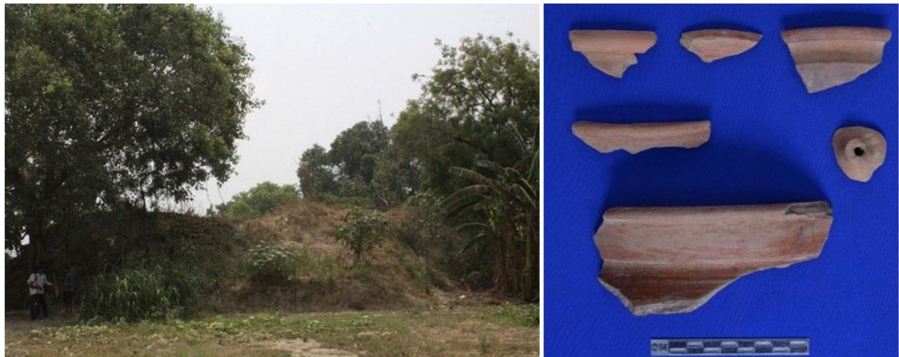 Figure 11: General view of Sabahipur and Pottery  Sabahipur (Lat. 25°38’'13” N; Long. 82°93’46” E): This mound is at Kashi Vidyapeeth block in Varanasi district (Figure 11). Sabahipur mound is situated beside Sabahipur- Virapatti road. On the western side of the mound, Hanuman temple and eastern side of Kali-Mai temples are present. The hight of the mound is approximately 7.5 m from the surface, and it covers an area of 2430 m?. Here Kushana and Gupta habitations are  found on a thick 1.5 m deposit of calcrete layer. This indicates less rainfall before the ancient settlement, but between these two layers, some micro layers are also noted. The Kushan bricks were also exposed in the western slope of the mound. 