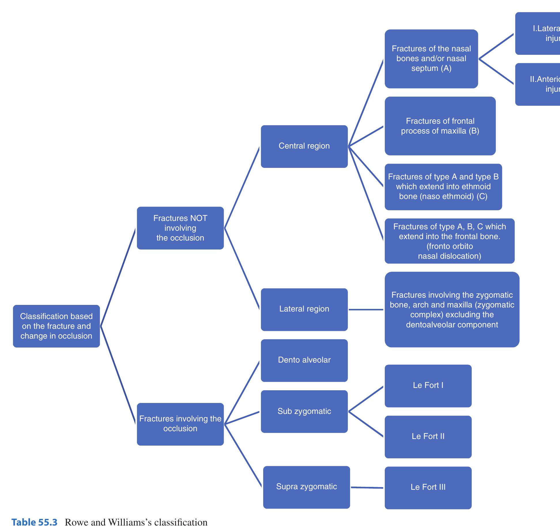 (PDF) Maxillary Fractures
