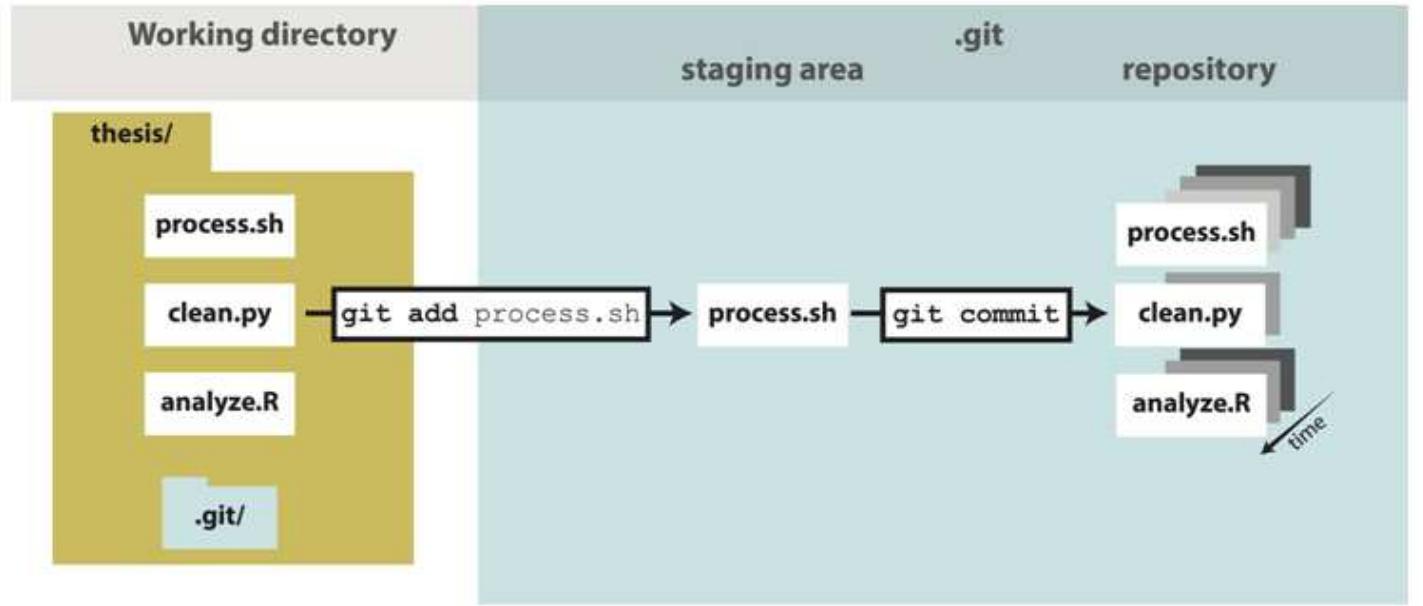 (PDF) GITHUB in Software Testing