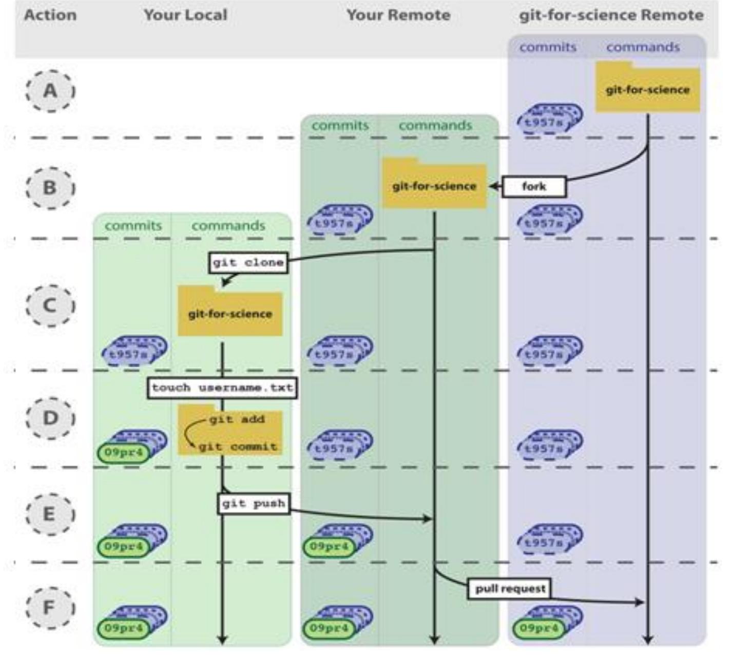 (PDF) GITHUB in Software Testing
