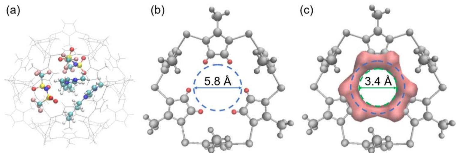 (a) schematic representation of two [bmim][tf2n] molecules
