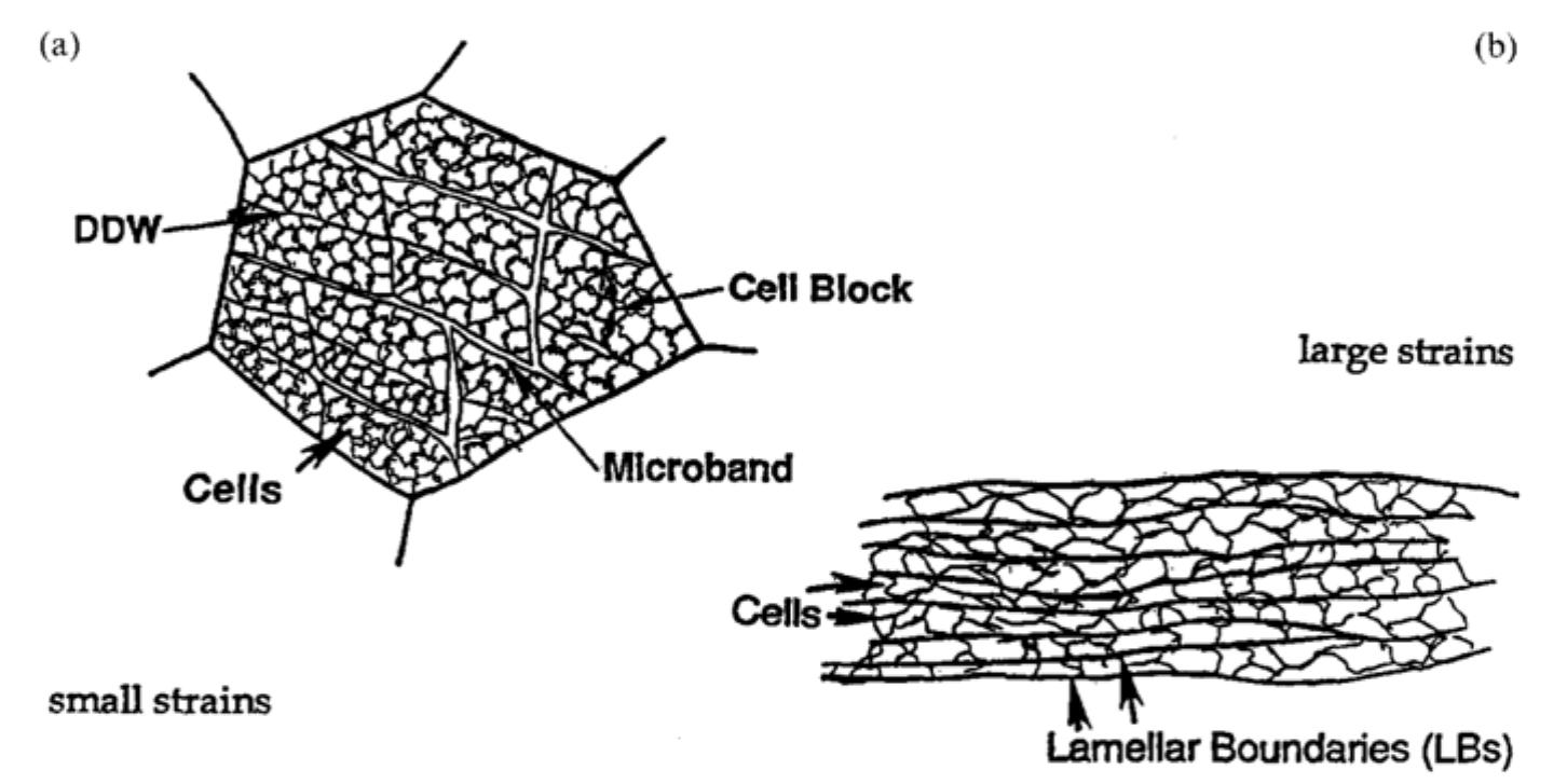 Cell Microstructure Iii. 5: (a) the sigma 3 twin boundaries (111) map (red