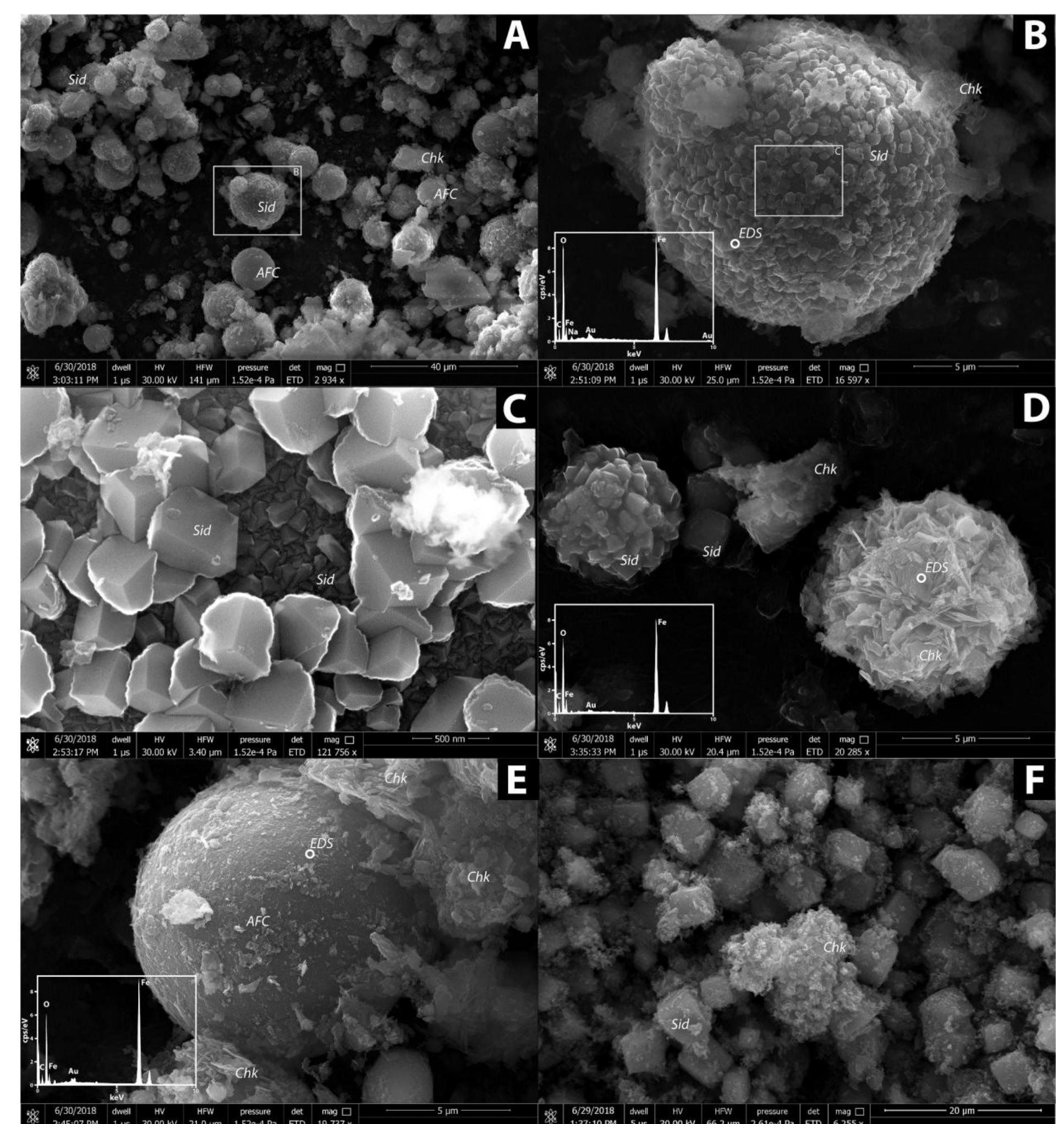 Sem images of precipitated materials. (a). fe-bearing