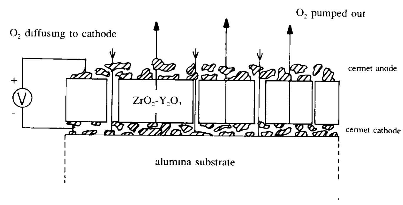 Schematic representation of the cross-section of a