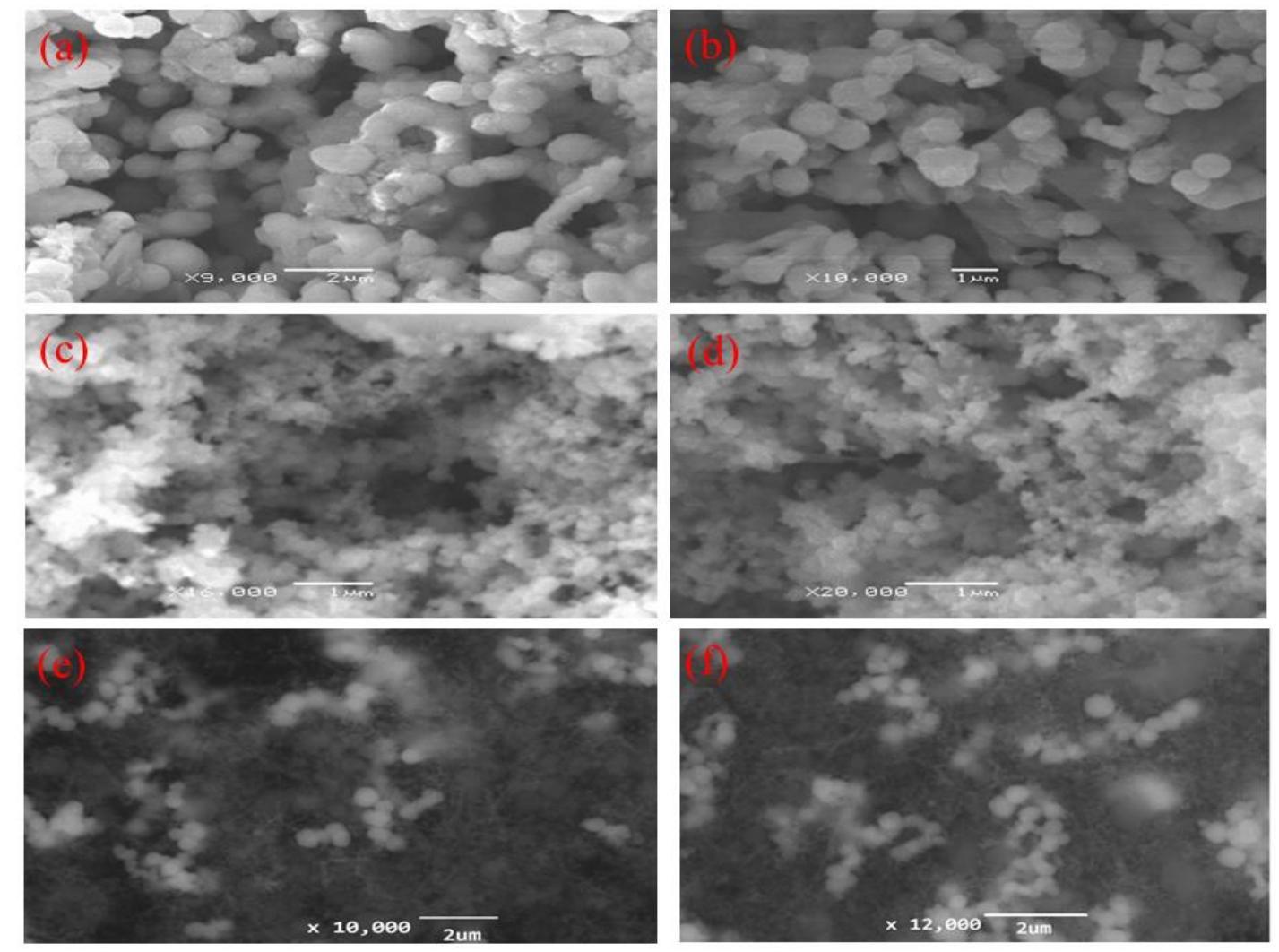 Figure 3 - from Thermal Behavior and Decomposition of Copper