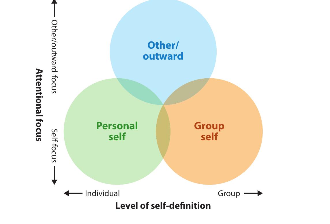 (PDF) Social Influence and Group Identity