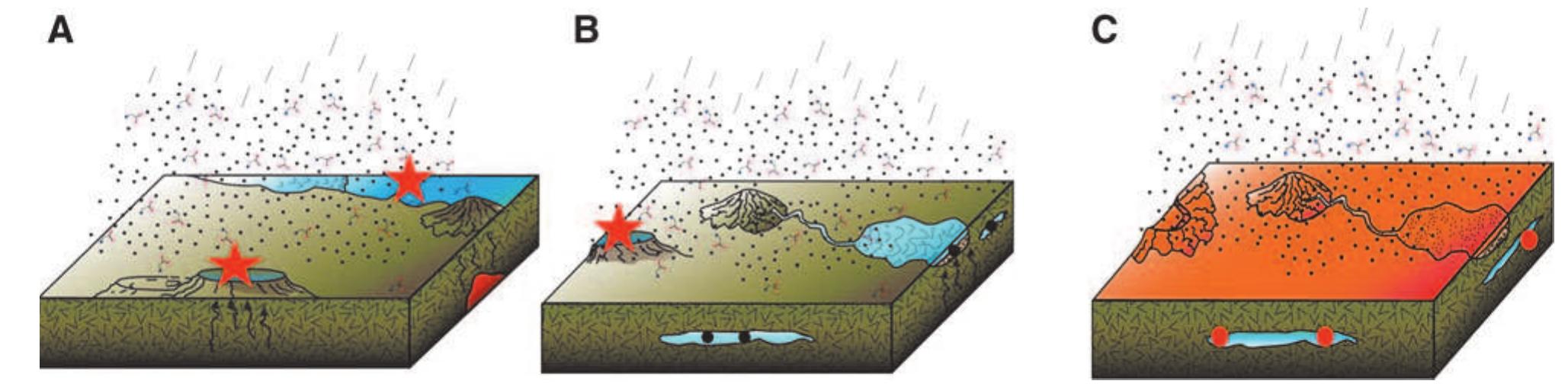 Mars Body Types (PDF) Habitability on Mars from a Microbial Point of View
