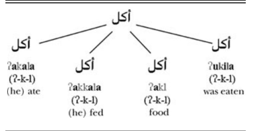 Figure 1 - from Word Recognition in Arabic as a Foreign