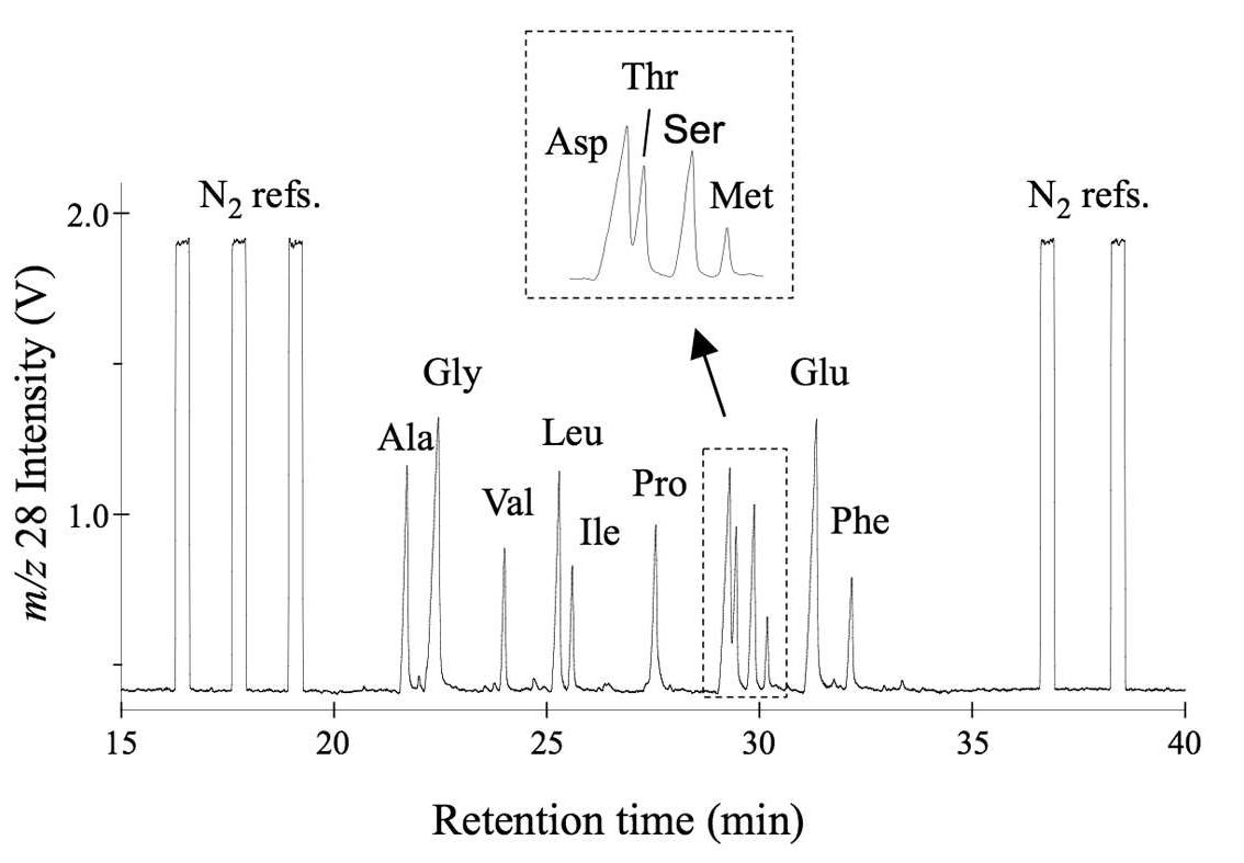 Irms Analysis Representative m/z 28 chromatogram of a gc/c/irms analysis