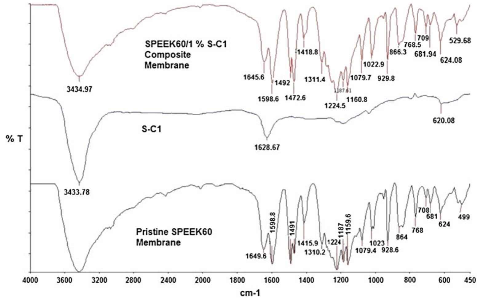 Ftir spectra of pristine speek membrane, sulfonated carbon