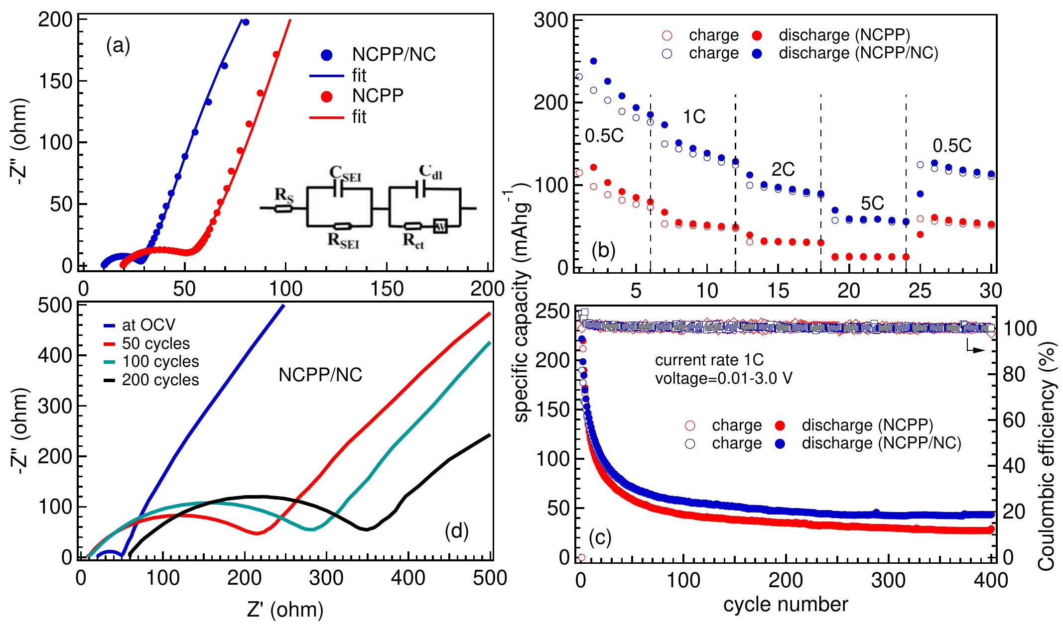 Schematic illustration of synthesis process of the ncpp/nc