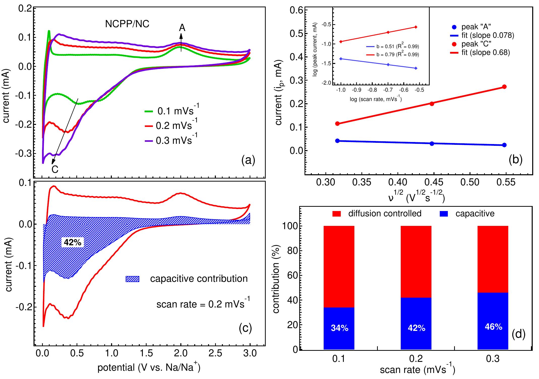 Schematic illustration of synthesis process of the ncpp/nc