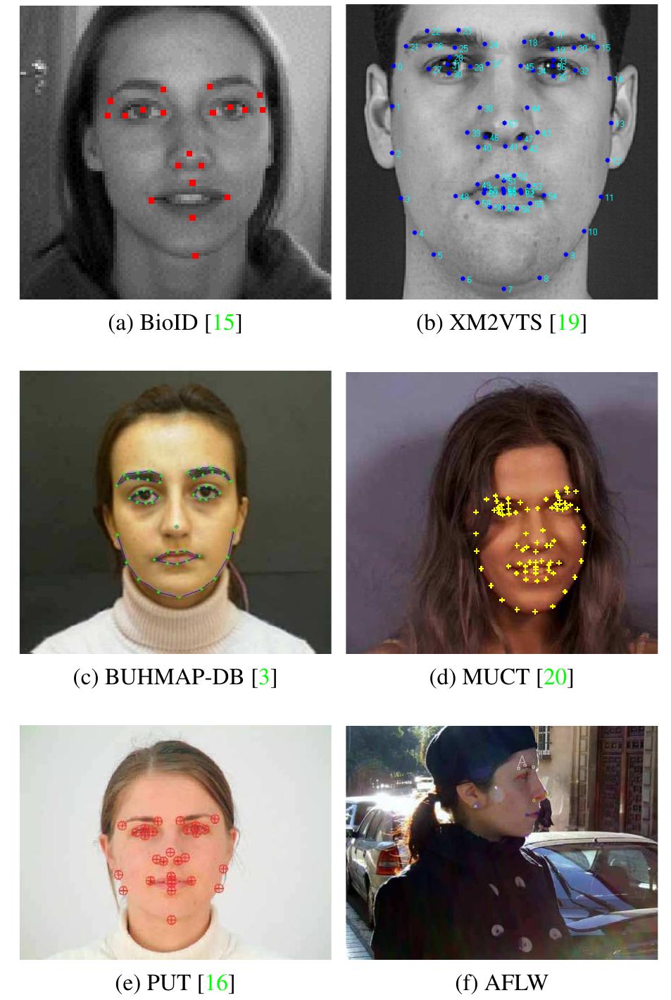 (PDF) Annotated Facial Landmarks in the Wild: A Large-scale, Real-world ...