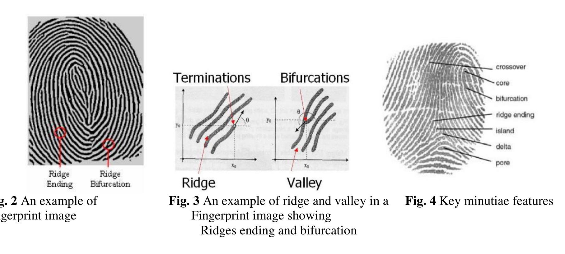 (PDF) Multimodal Biometric System Design Using Iris, Fingerprint ...