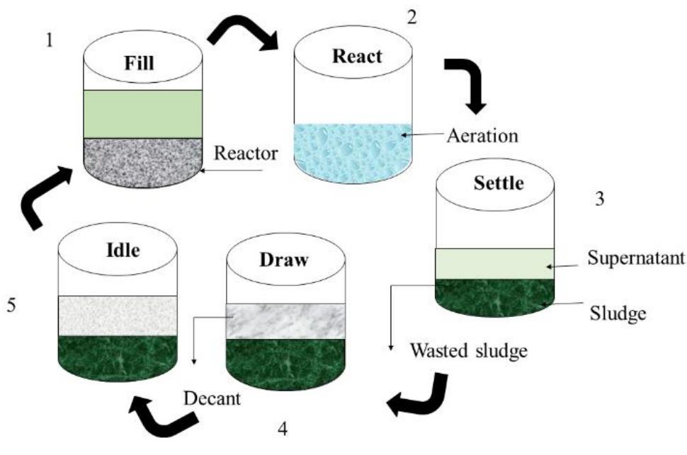-3 schematic representation of the sbr operation process