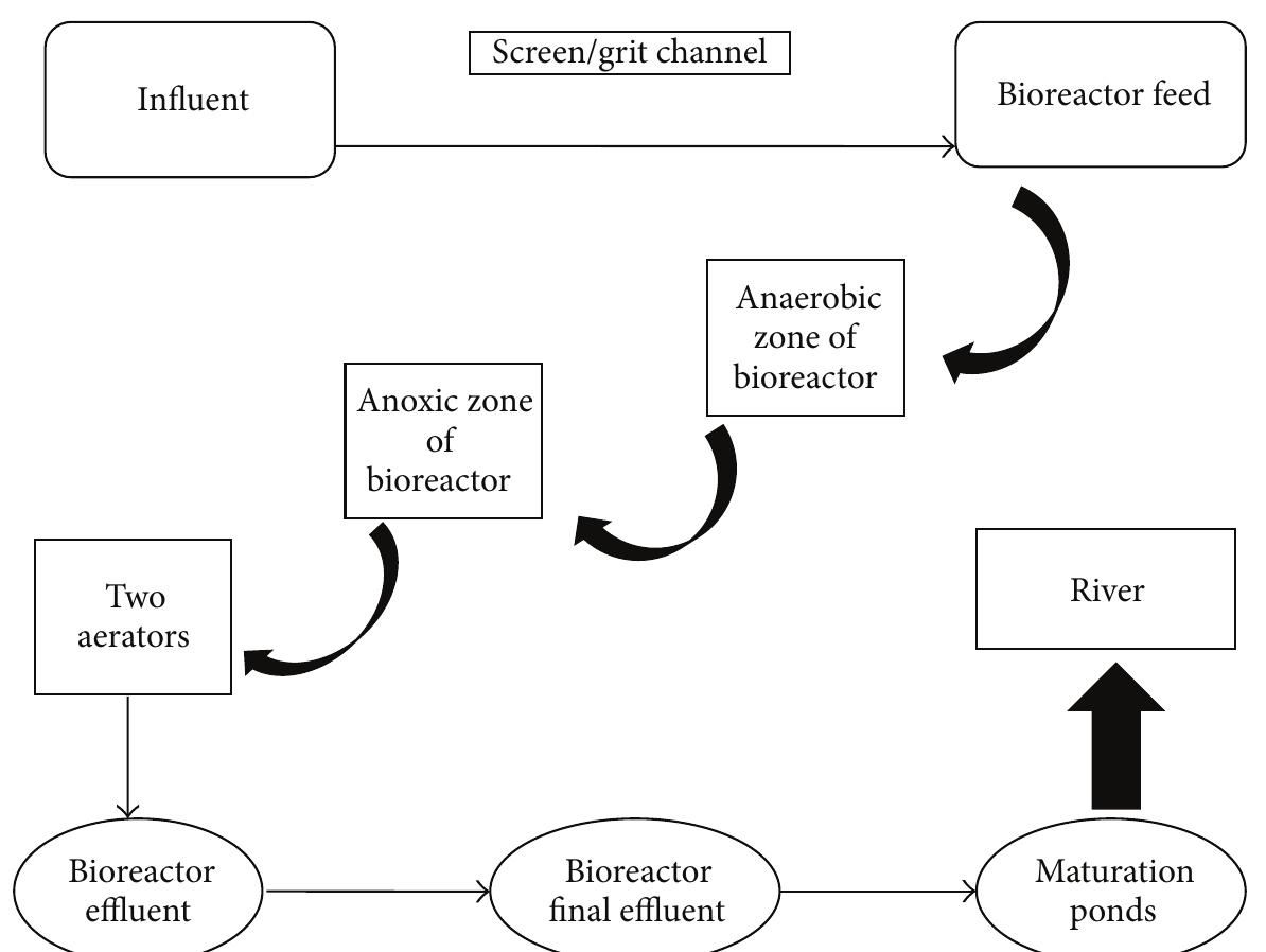 Ficure 1: schematic diagram of wastewater treatment plant