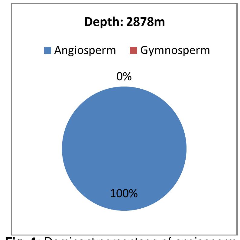 (PDF) Biostratigraphy and paleoenvironment of the Coniacian Awgu ...