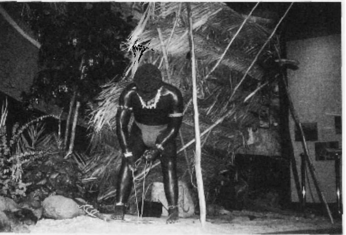 (PDF) A Small Exhibit on the Agta and Their Future:The Philippine Agta ...