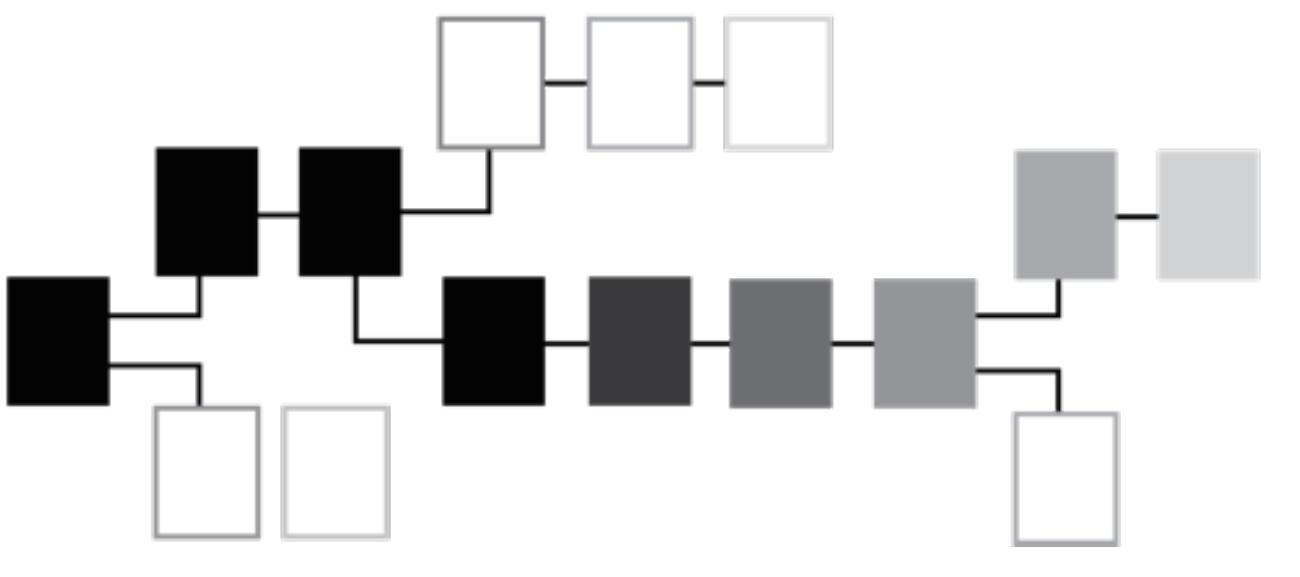 Figure 3. The longest chain in the blockchain is always considered the most valid, represented here by 