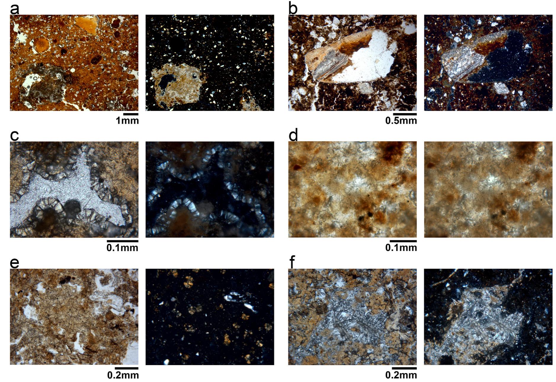 Amorphous Calcite Micromorphology of chemically-altered deposits. in all image