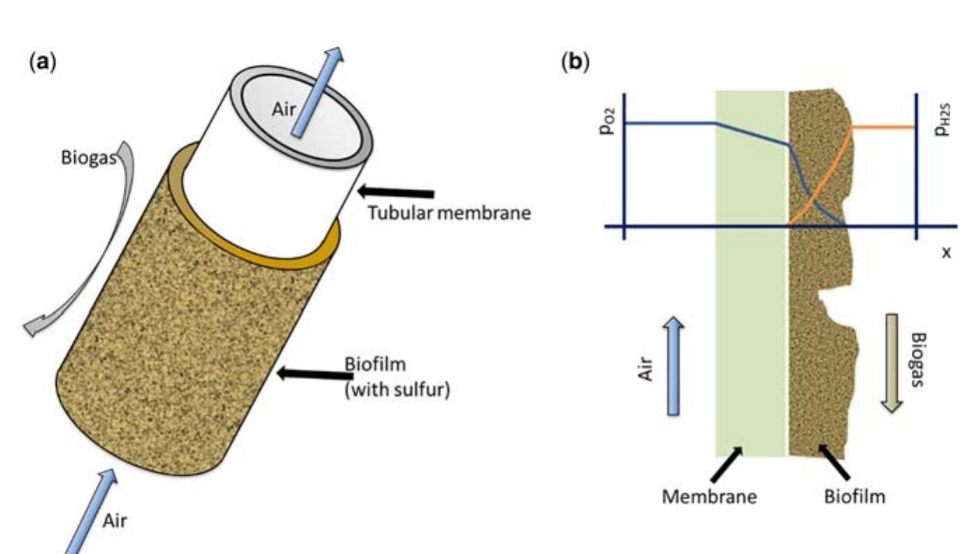 Figure 4 - from Biological H2S removal from gases