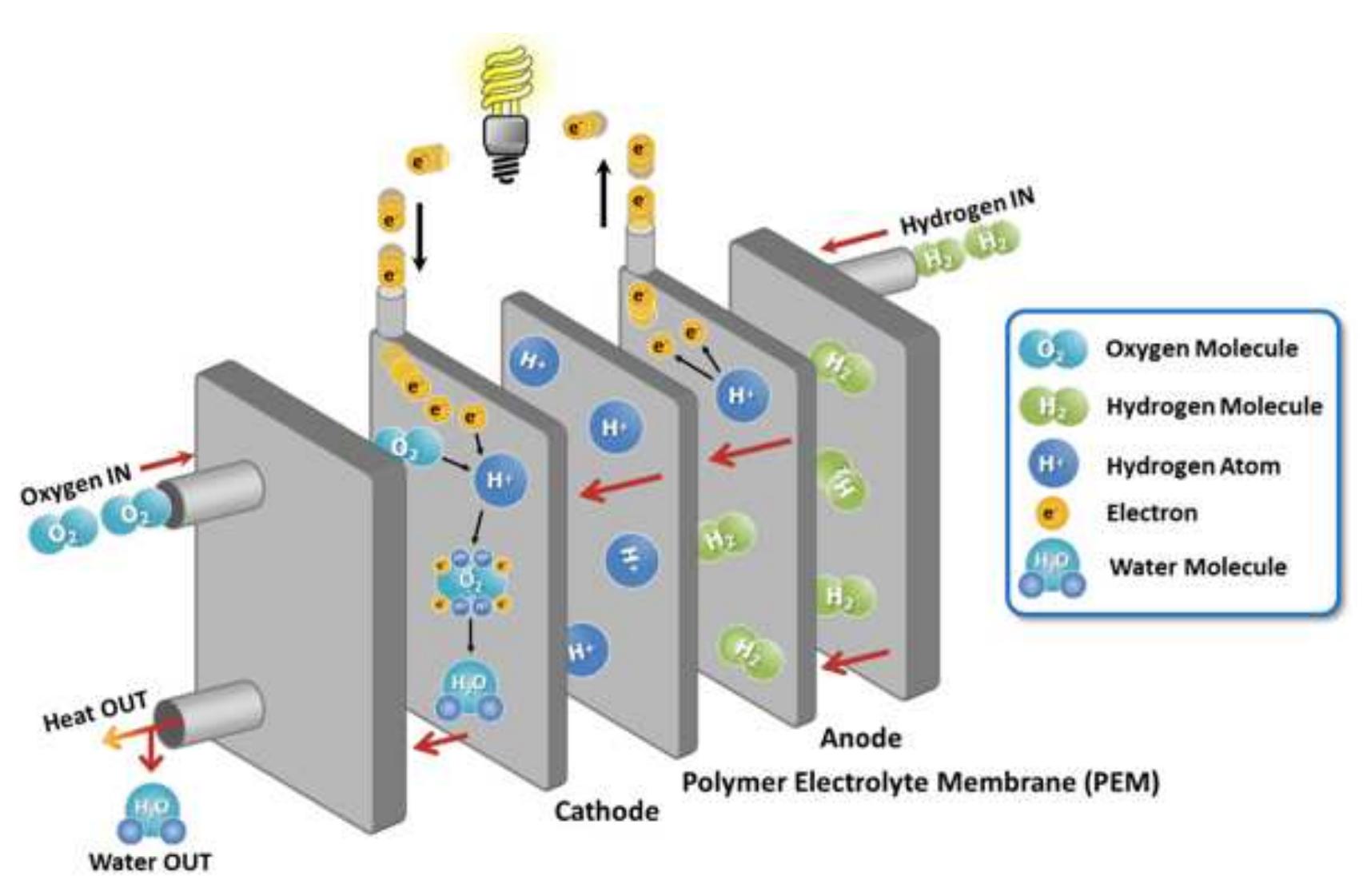 The schematic process of a pemfc is illustrated in figure