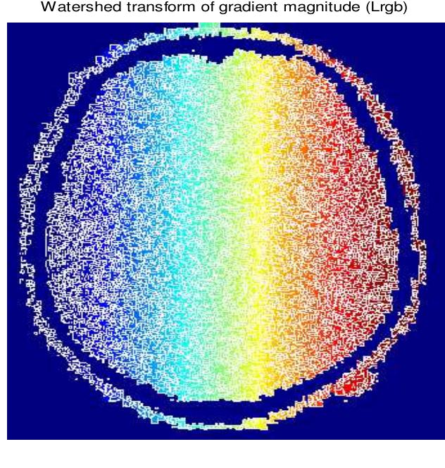 Compute the watershed transform of the segmentation function